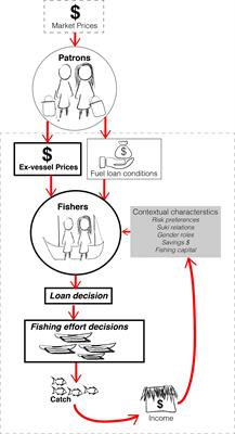 An Experimental Approach to Exploring Market Responses in Small-Scale Fishing Communities